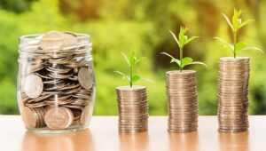 Negocios Sostenibles: El Futuro Del Emprendimiento En Colombia